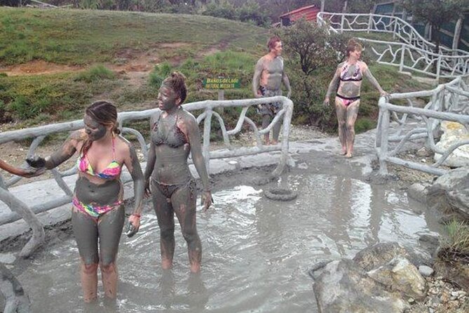 Rainforest wildlife Costa Rica